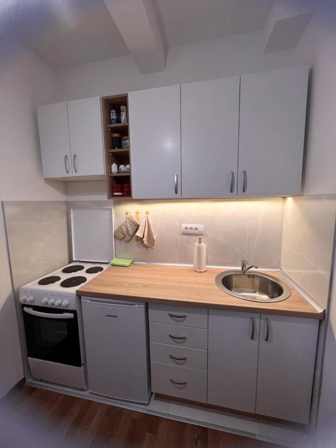 Djoric 2a Apartment Zlatibor